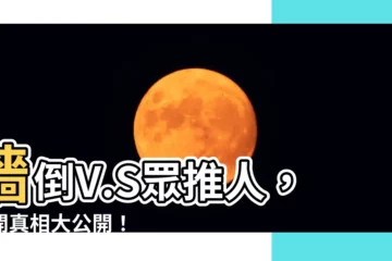 【牆倒】牆倒V.S眾推人，揭開真相大公開！