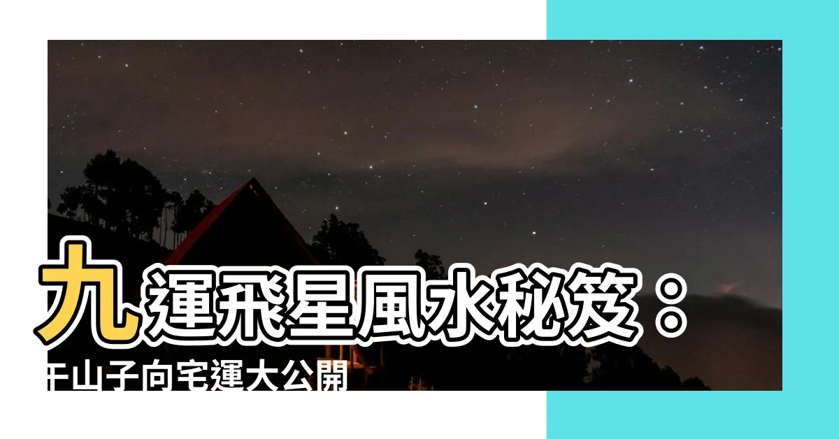 【九運午山子向】九運飛星風水秘笈：午山子向宅運大公開！