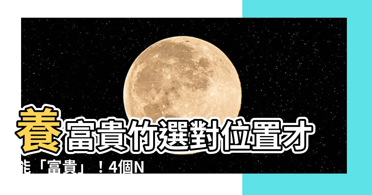 【富貴竹風水】養富貴竹選對位置才能「富貴」！4個NG擺放別誤踩