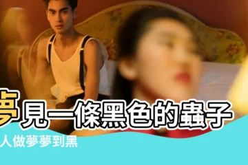 【孕期夢見一隻黑色蟲子】夢見一條黑色的蟲子 |女人做夢夢到黑蟲 |夢見很多黑蟲 |