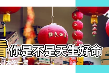 【腿瘦的人風水】看你是不是天生好命之人 |大吃一驚 |七種腿形 |