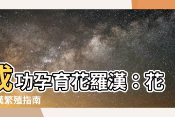 【花羅漢繁殖】成功孕育花羅漢：花羅漢繁殖指南