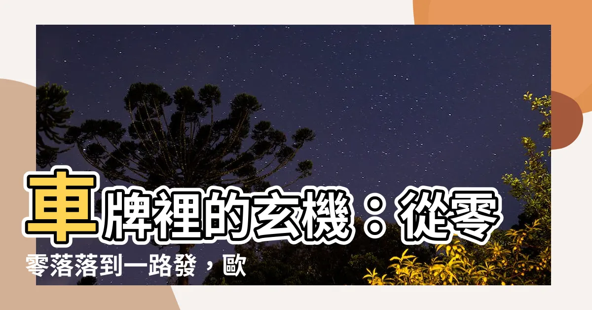 【s車牌】車牌裡的玄機：從零零落落到一路發，歐馬車牌大揭密！