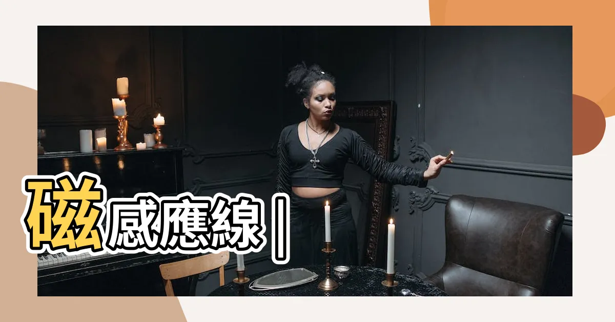 【磁場線】磁感應線 |