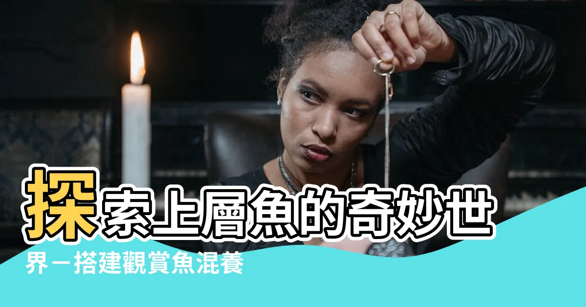 【上層魚】探索上層魚的奇妙世界－搭建觀賞魚混養理念