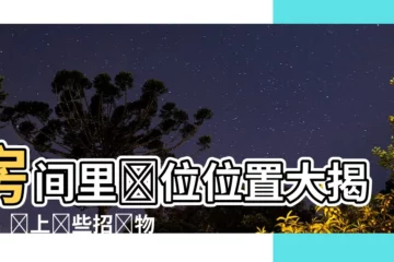 【房間的財位在哪裏】房間裏財位位置大揭秘！擺上這些招財物品，財源廣進
