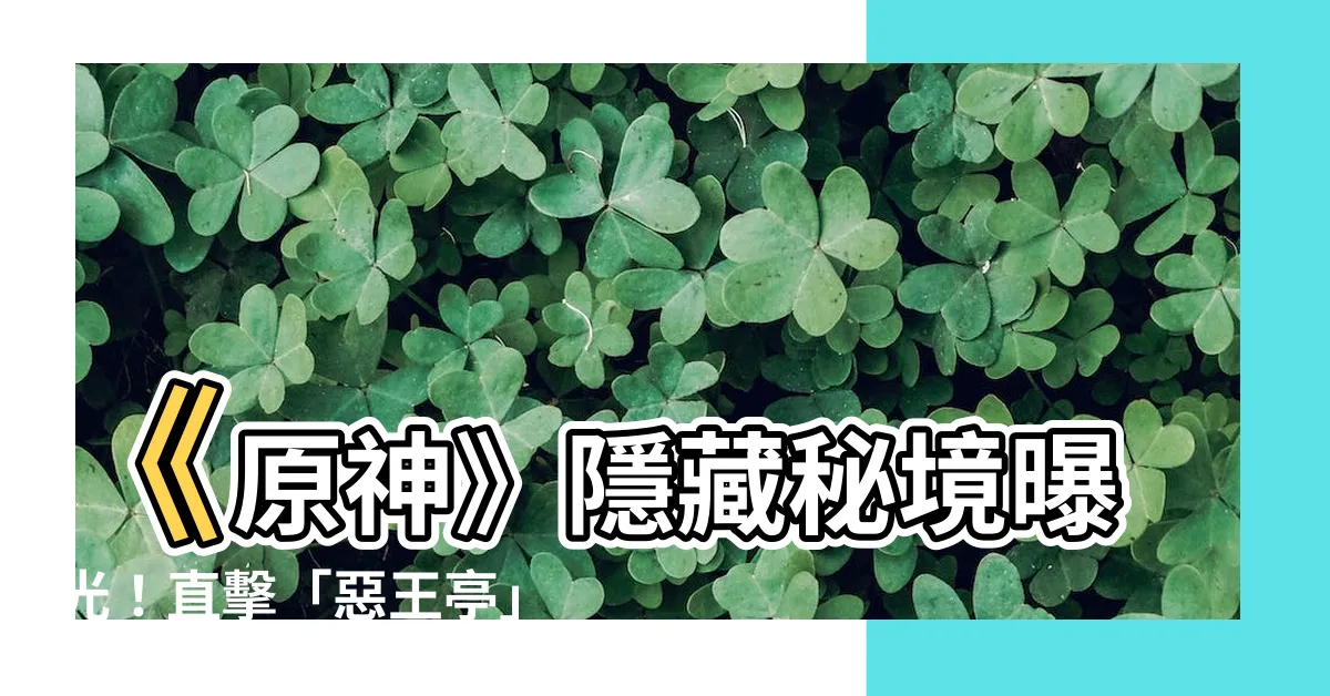 【惡王亭】《原神》隱藏秘境曝光！直擊「惡王亭」解鎖驚人秘密