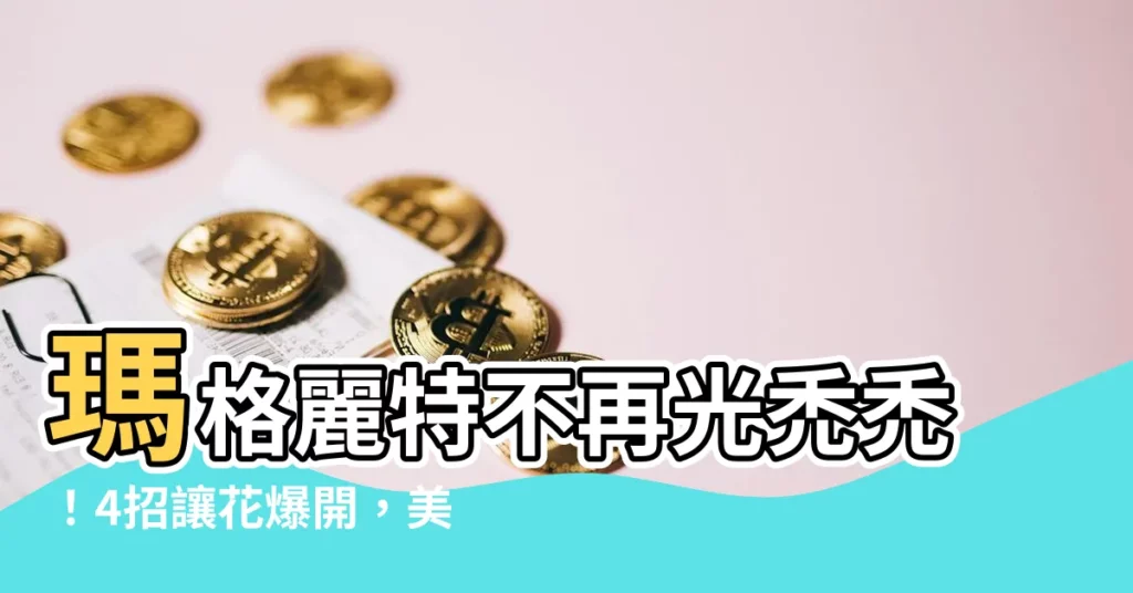 【瑪格麗特不開花】瑪格麗特不再光禿禿！4招讓花爆開，美到驚呆鄰居