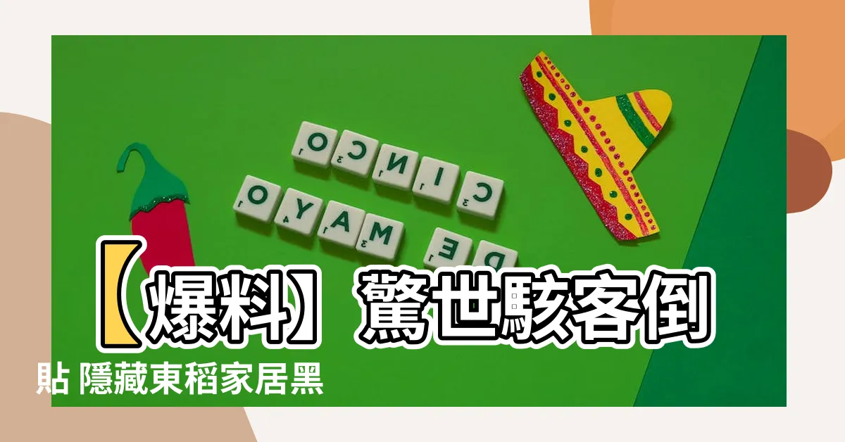 【黑色沙發】【爆料】驚世駭客倒貼 隱藏東稻家居黑色沙發揭露所有！
