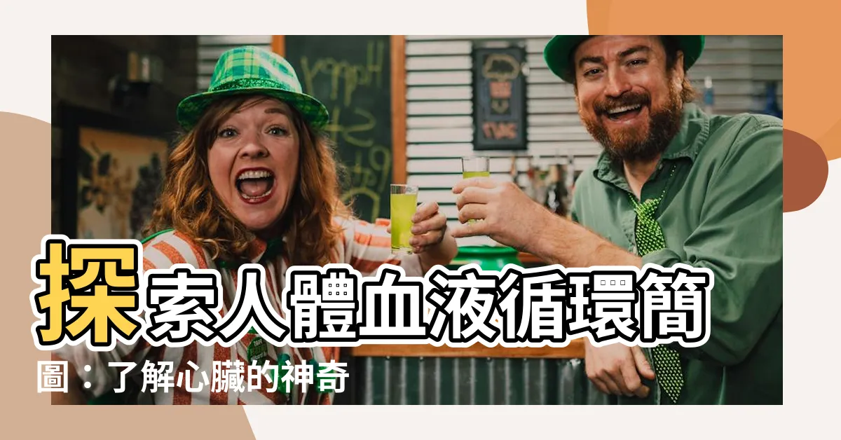 【血液循環簡圖】探索人體血液循環簡圖：瞭解心臟的神奇工作