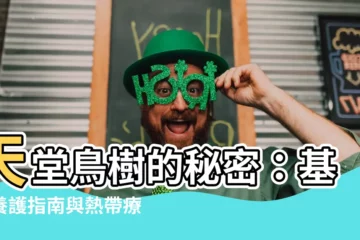 【天堂鳥樹】天堂鳥樹的秘密：基礎養護指南與熱帶療癒魔法