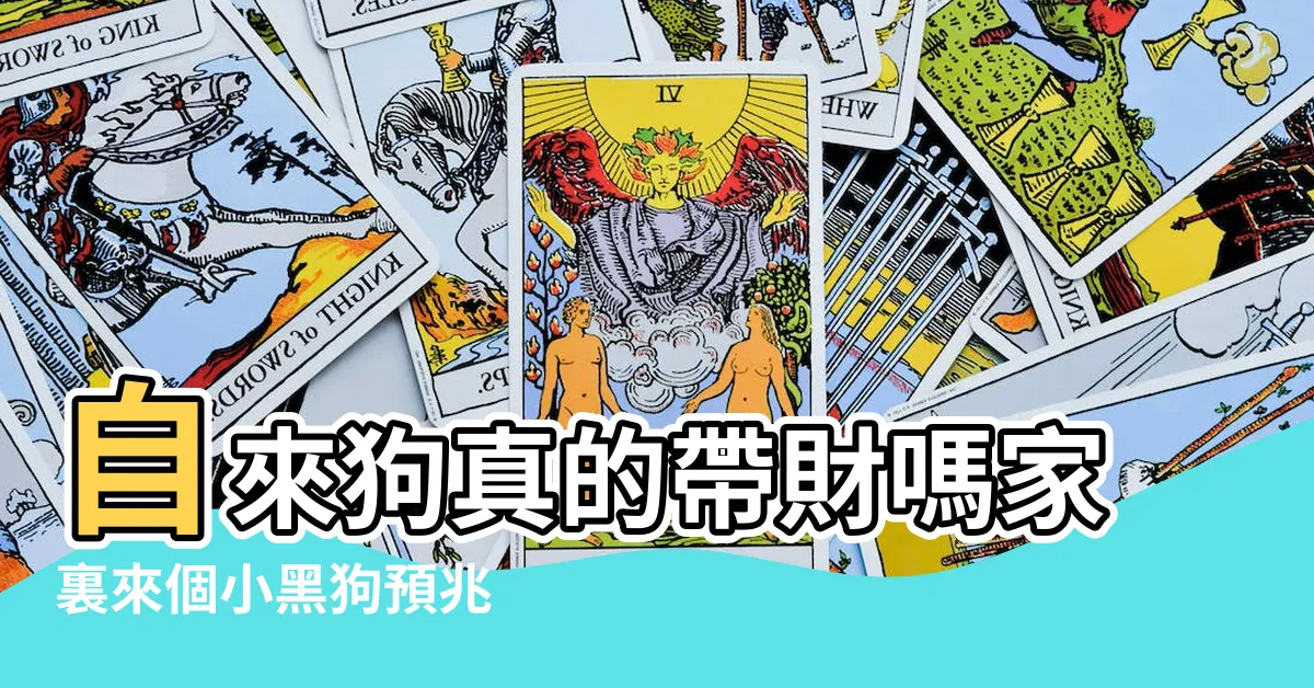 【自來狗好不好】自來狗真的帶財嗎家裏來個小黑狗預兆 |李居明大師會客室 |自來狗的預兆帶來財運 |