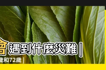 【81年屬雞人的災難年齡】會遇到什麼災難 |48歲和72歲 |1981年屬雞人的災難年齡是幾歲 |