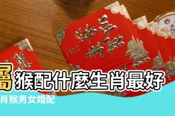 【屬猴和什麼屬相最配】屬猴配什麼生肖最好 |生肖猴男女婚配表 |屬猴的和什麼屬相最配 |
