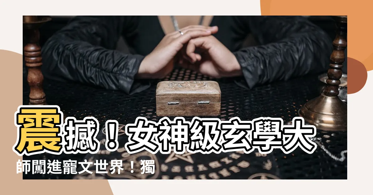 【女主玄學大師】震撼！女神級玄學大師闖進寵文世界！獨霸男主演奏悲情之曲！