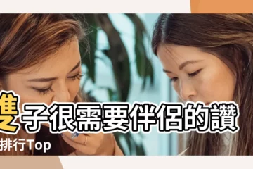 【雙子好傲嬌】雙子很需要伴侶的讚美 |排行Top |我是雙子 |