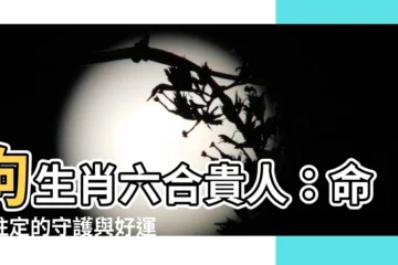【狗生肖六合】狗生肖六合貴人：命中註定的守護與好運