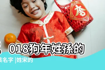 【2018狗年姓師男孩名字】2018狗年姓孫的男孩名字 |姓宋的男孩名字大全2018屬狗 |2018狗年姓吳的男孩名字 |