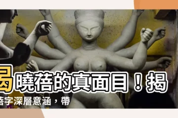【蓓意思】揭曉蓓的真面目！揭開蓓字深層意涵，帶你深入文字世界