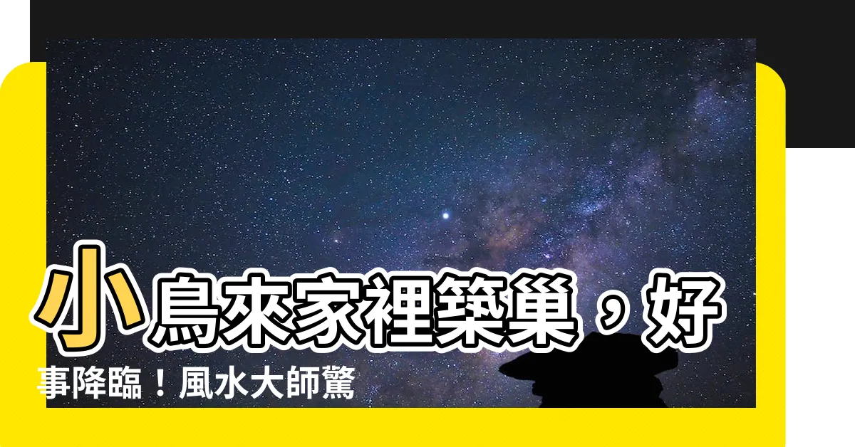 【小鳥來家裡築巢是好事嗎】小鳥來家裡築巢，好事降臨！風水大師驚豔盡現