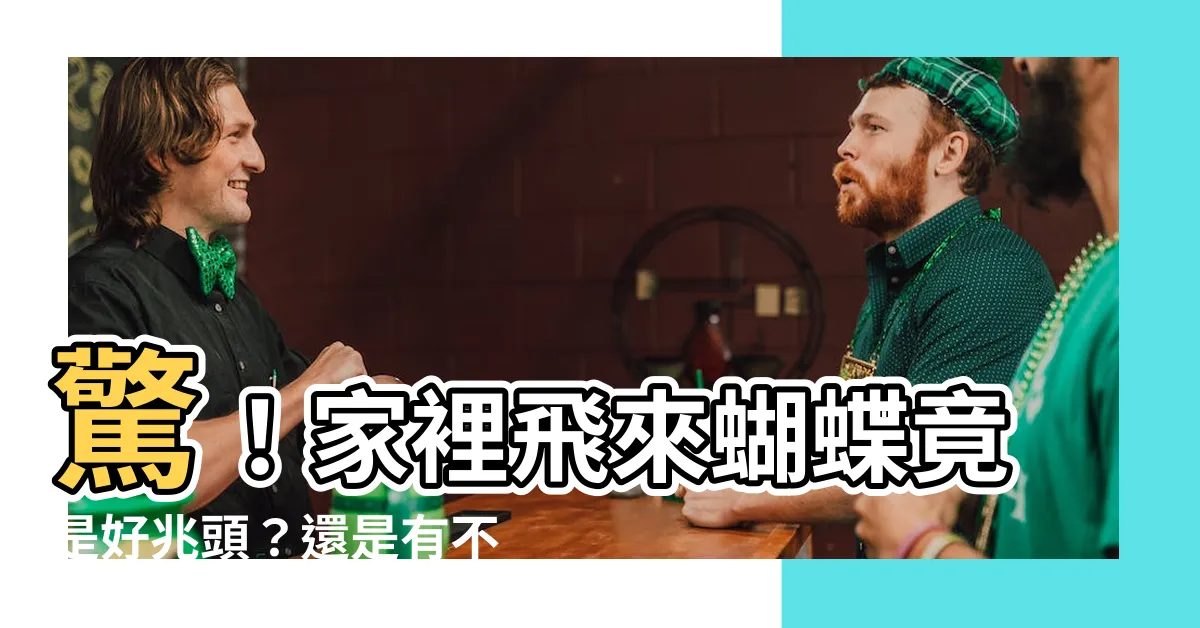 【家裏飛來蝴蝶】驚！家裡飛來蝴蝶竟是好兆頭？還是有不好的徵兆？趕快搞清楚