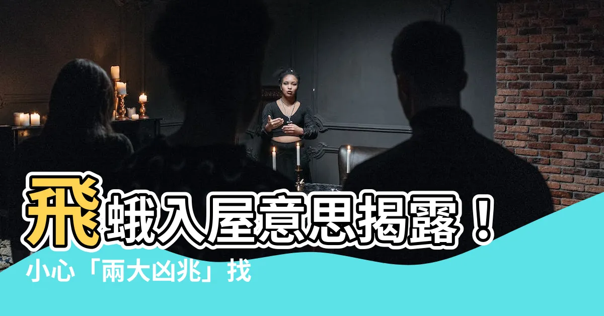 【飛蛾入屋意思】飛蛾入屋意思揭露！小心「兩大凶兆」找上門！