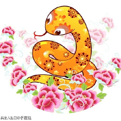 1、什么生肖適合蛇,什么生肖適合狗