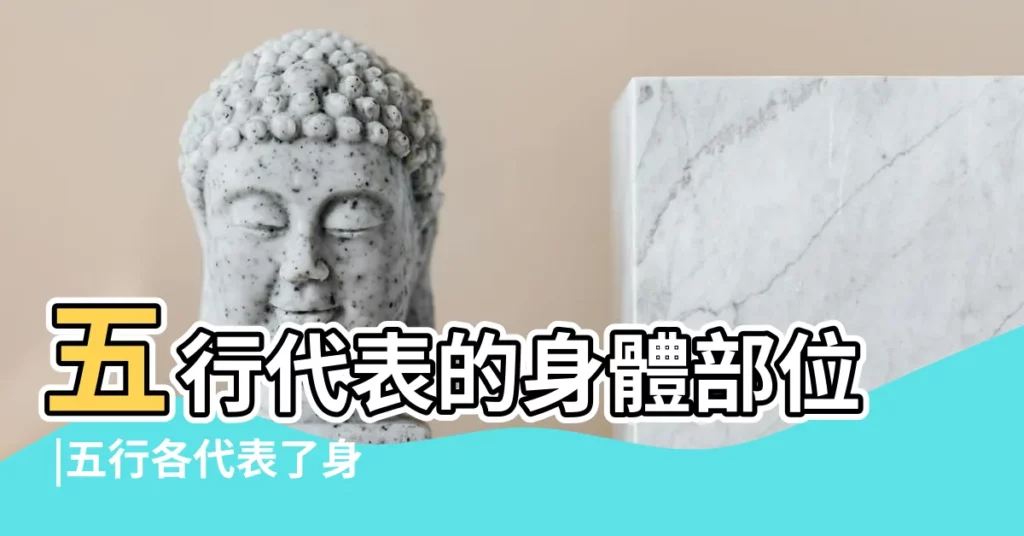 五行代表的身體部位 |五行各代表了身體哪些部位 |八字基礎之天干地支五行代表的身體部位及器官 |【五行 身體部位】