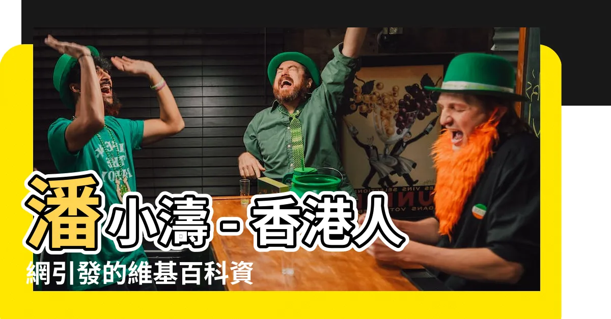 【潘小文維基百科】潘小濤 - 香港人網引發的維基百科資訊大揭露！