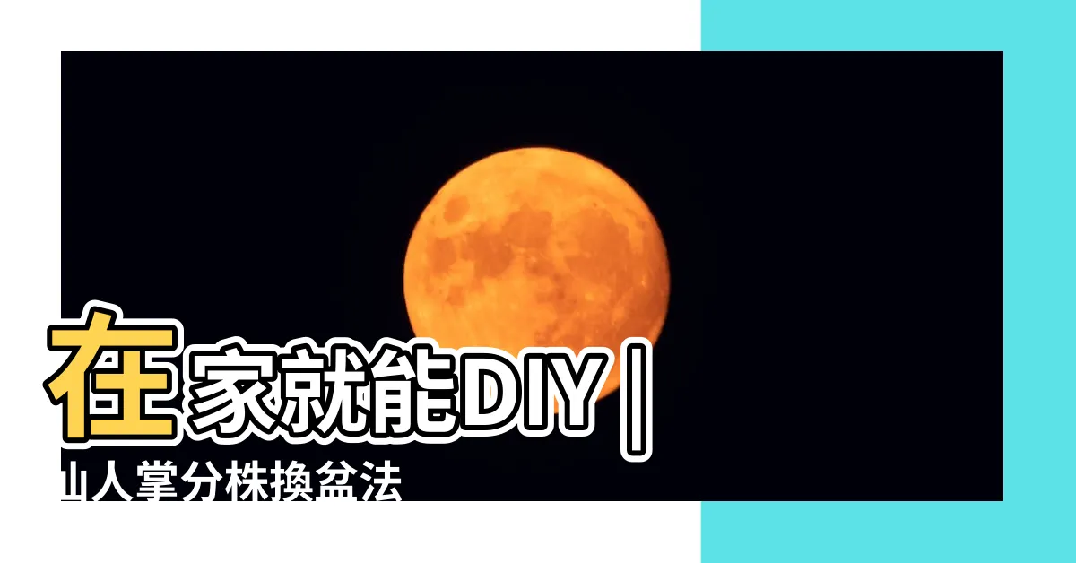 【仙人掌換盆】在家就能DIY |仙人掌分株換盆法 |仙人掌盆栽偶爾要換土這樣做簡單又安全 |