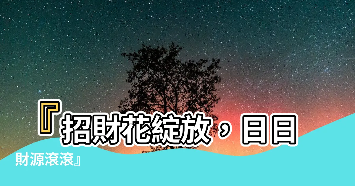 【旺花】『招財花綻放，日日財源滾滾』