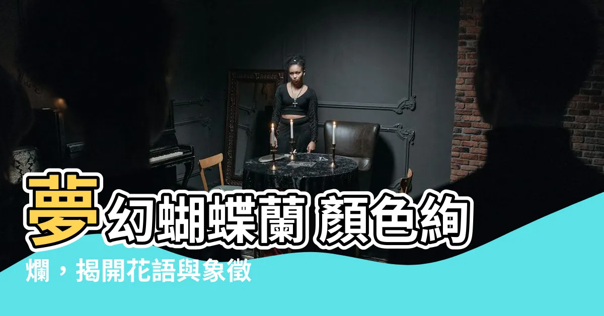 【蝴蝶蘭 顏色】夢幻蝴蝶蘭 顏色絢爛，揭開花語與象徵寓意