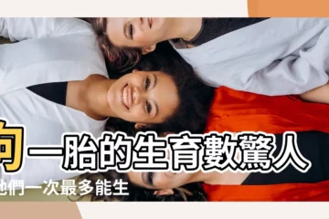 【狗一胎生幾隻】狗一胎的生育數驚人！牠們一次最多能生幾隻？