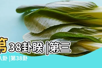 【易經第38卦白話翻譯】第38卦睽 |第三十八卦 |第38卦火澤睽離上兑下 |