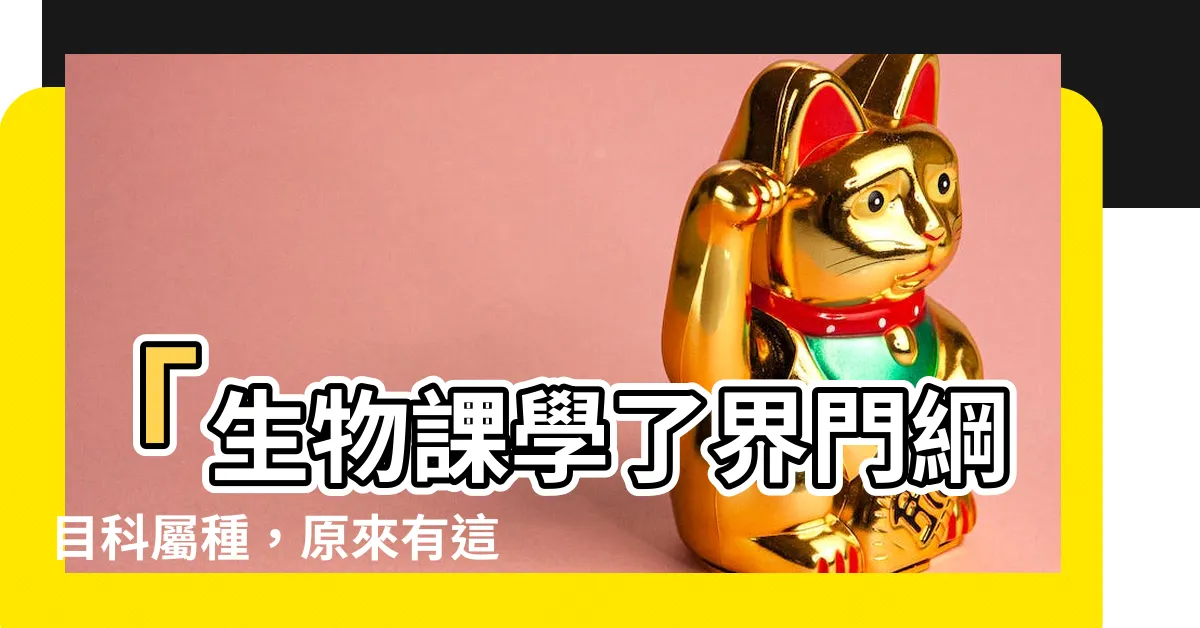 【界門綱目科屬種口訣】「生物課學了界門綱目科屬種，原來有這麼有趣的口訣！」