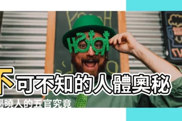 【人的五官是什麼】不可不知的人體奧秘：揭曉人的五官究竟有哪些？