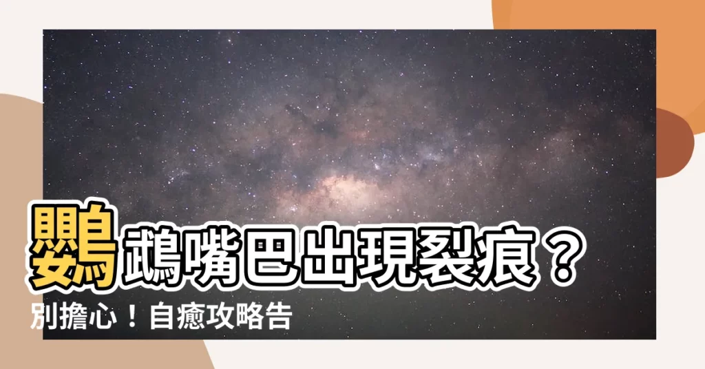 【鸚鵡嘴巴裂痕】鸚鵡嘴巴出現裂痕？別擔心！自癒攻略告訴你