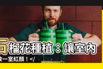 【石榴花種植】石榴花種植：讓室內綻放一室紅顏！，點綴家居添色彩！