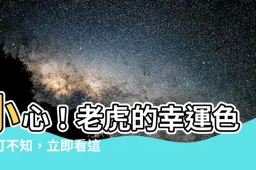 【老虎幸運色】小心！老虎的幸運色不可不知，立即看這篇！