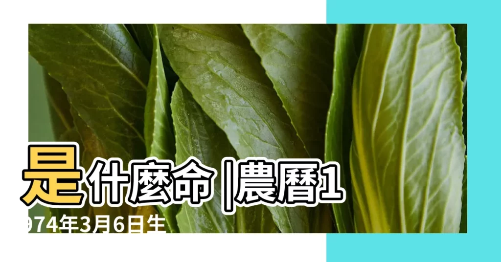 是什麼命 |農曆1974年3月6日生日算命 |出生日期1974年3月6日測命運 |【1974年三月初六是什麼命】