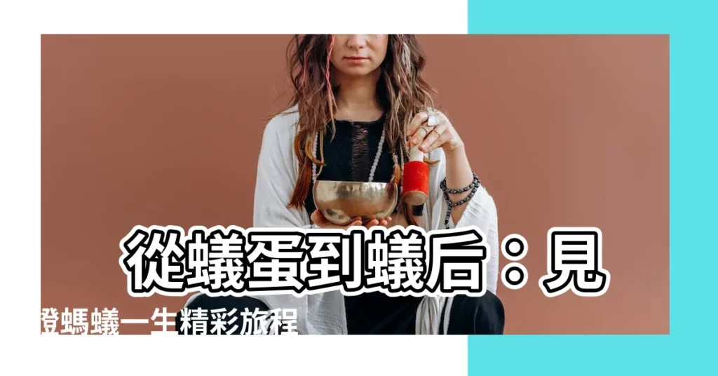 【螞蟻的一生】 從蟻蛋到蟻后：見證螞蟻一生精彩旅程