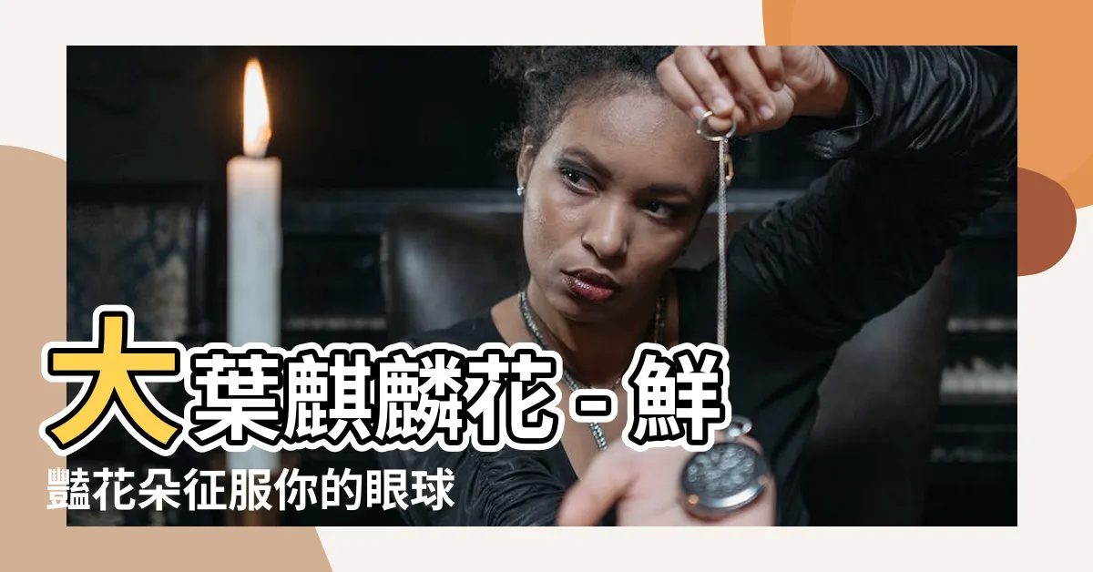 【大葉麒麟花】大葉麒麟花 - 鮮豔花朵征服你的眼球！