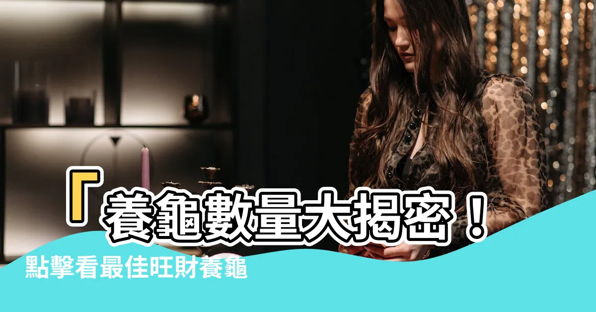 【養龜數量】「養龜數量大揭密！點擊看最佳旺財養龜秘訣！」