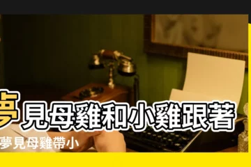【夢見老母親和小雞】夢見母雞和小雞跟著我 |夢見母雞帶小雞 |