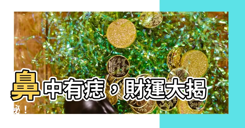 【鼻中有痣】鼻中有痣，財運大揭秘！