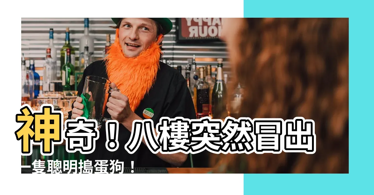 【八樓 狗】神奇！八樓突然冒出一隻聰明搗蛋狗！