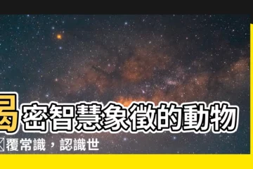 【象徵智慧的動物】揭密智慧象徵的動物！顛覆常識，認識世界上最聰明的15種生物