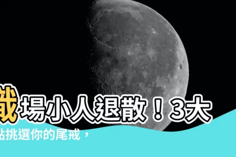 【職場小人尾戒】職場小人退散！3大重點挑選你的尾戒，招財擋煞好運來！
