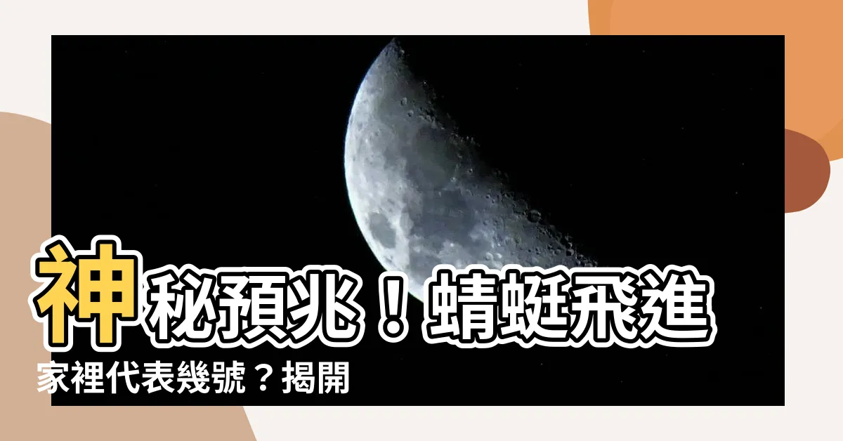 【蜻蜓飛進家裡代表幾號】神秘預兆！蜻蜓飛進家裡代表幾號？揭開神奇彩券頭獎之謎！
