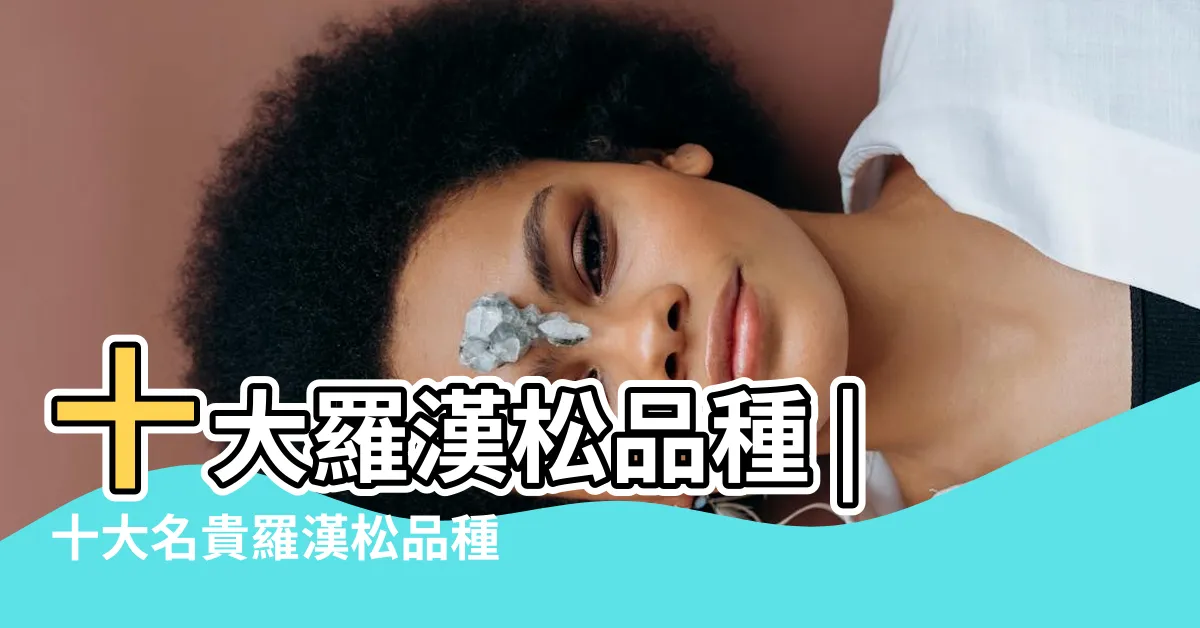 【羅漢松 品種】十大羅漢松品種 |十大名貴羅漢松品種排名 |盤點最美10種羅漢松品種 |